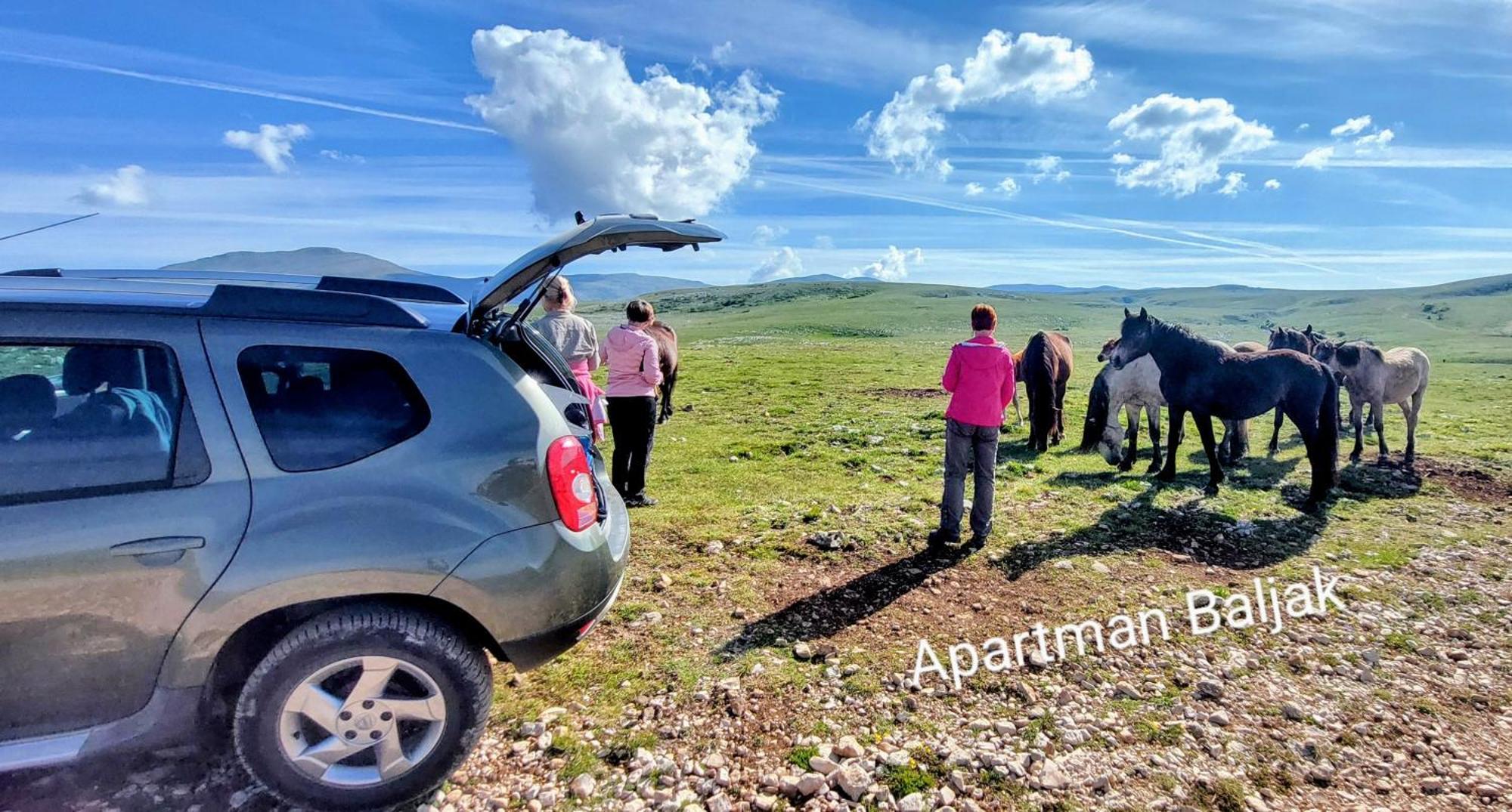 Apartman Baljak Livno Exteriér fotografie