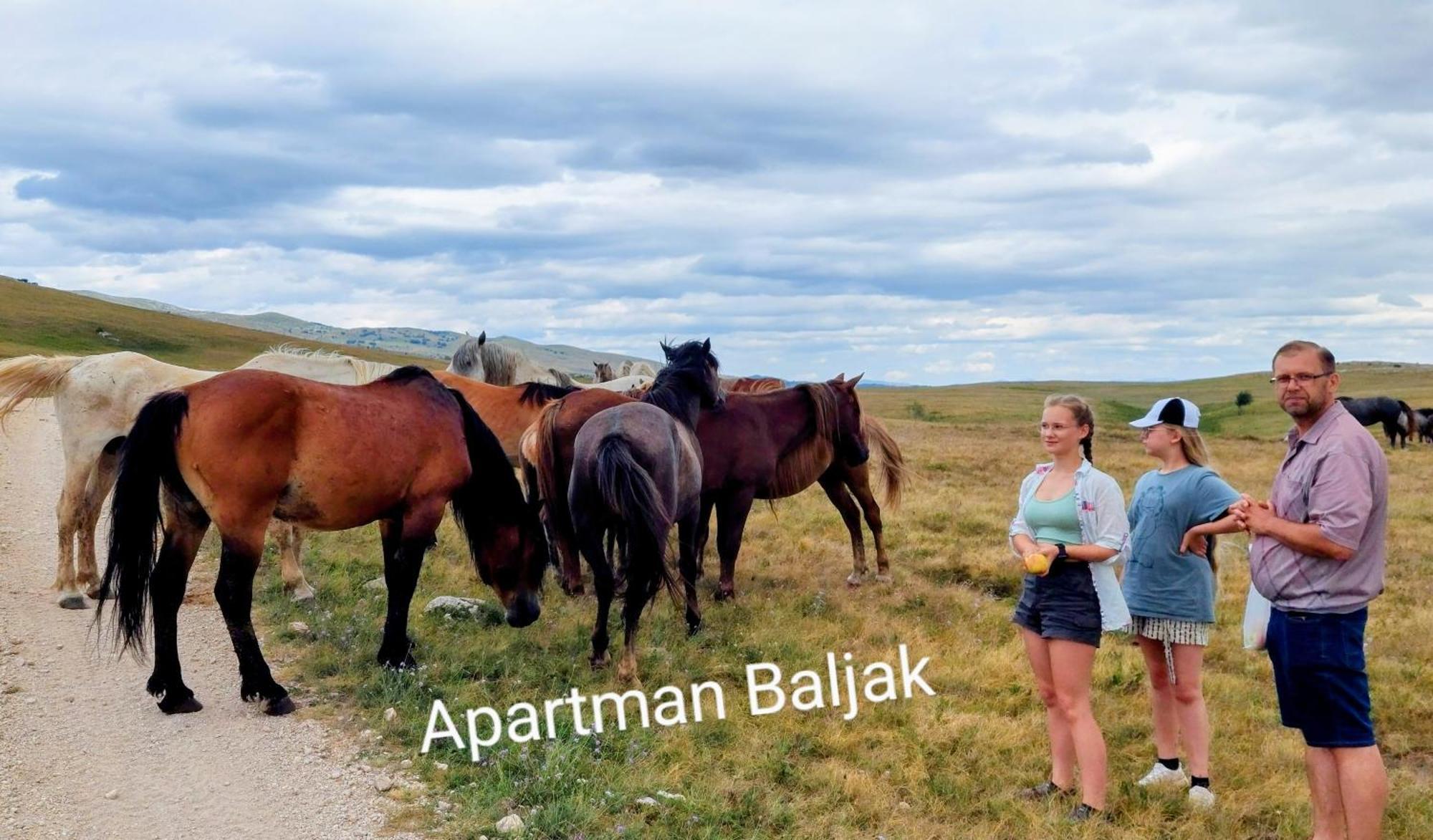 Apartman Baljak Livno Exteriér fotografie