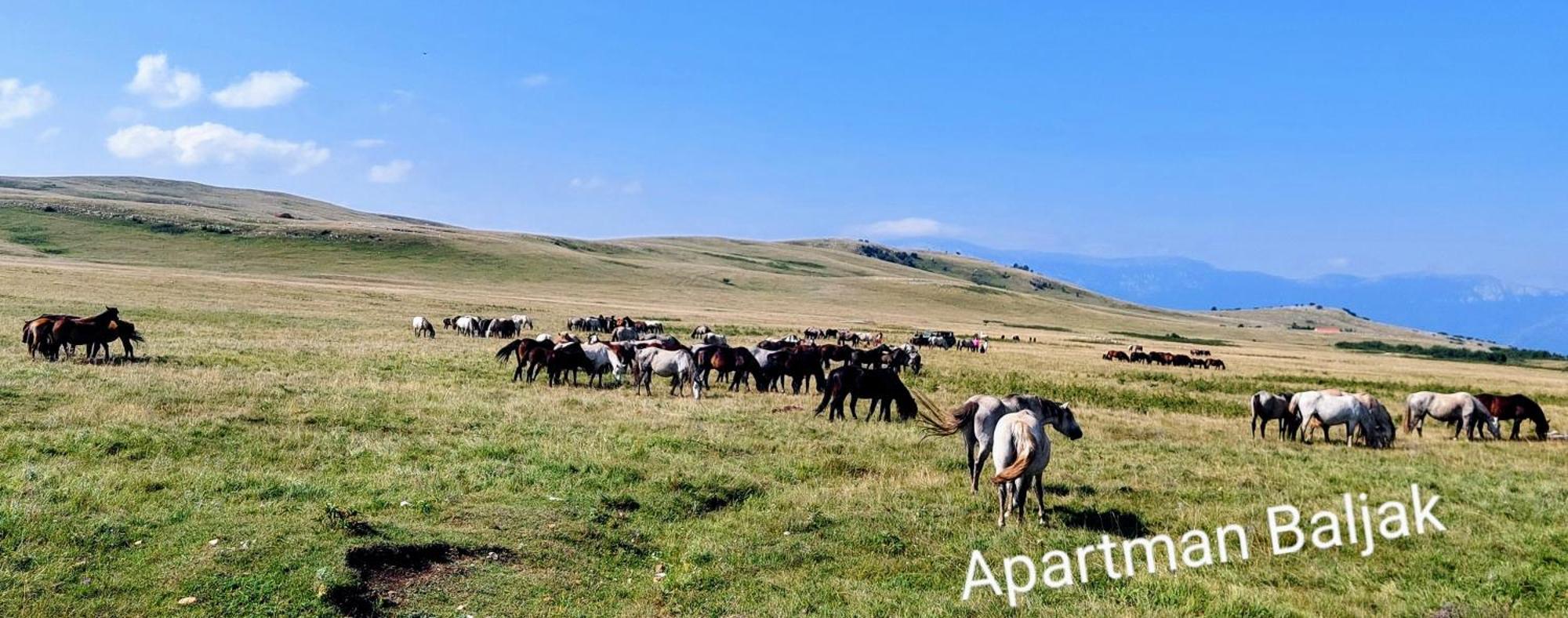 Apartman Baljak Livno Exteriér fotografie